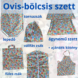 ovis-bolcsis-szettek-robotos